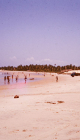 artuma202510_37-1.jpg