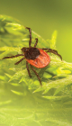 artuma202503_rs_36.jpg