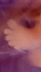 artuma202504_rs_30.jpg