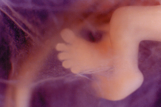 artuma202504_rs_30.jpg