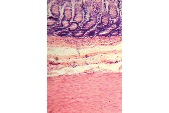 artuma202504_rs_36.jpg